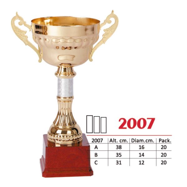 2007
