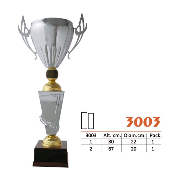 3003