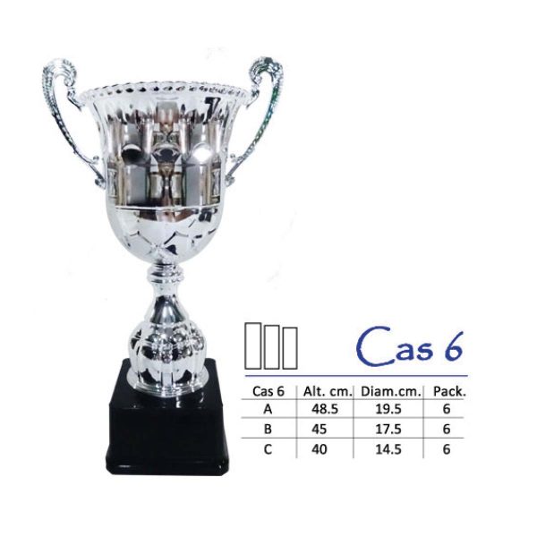 Cas 6