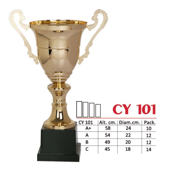 CY 101
