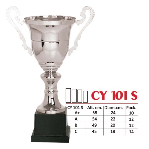 CY 101 S