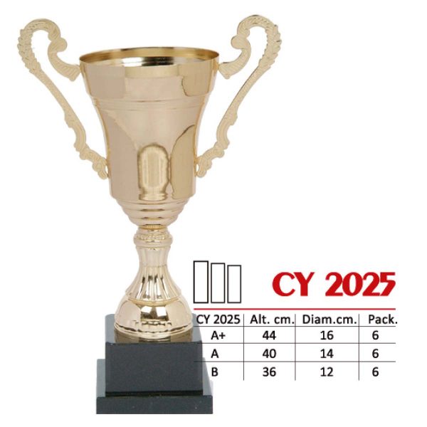 CY 2025