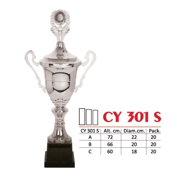 CY 301 S