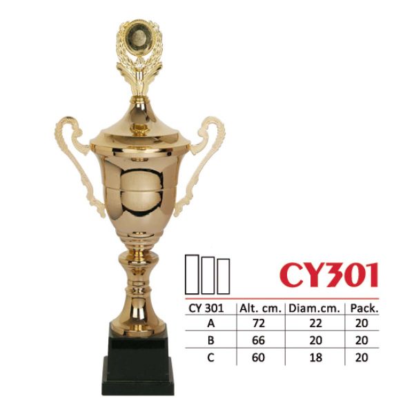 CY301