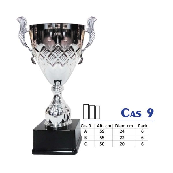 Cas 9