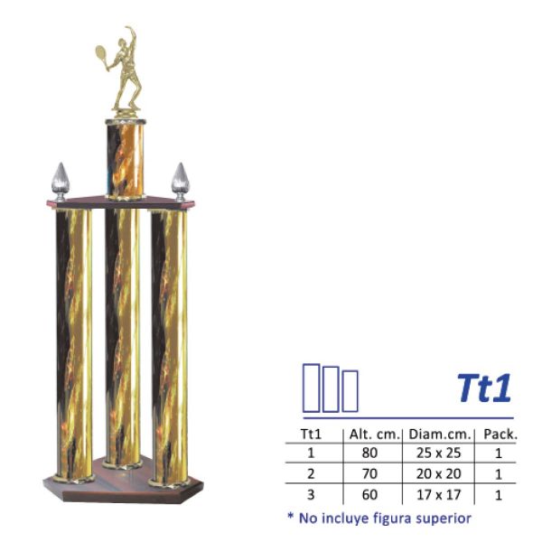 Tt1