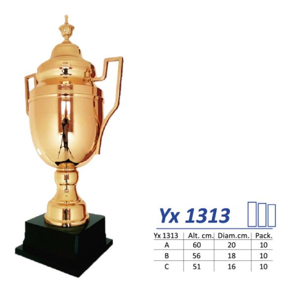 Yx 1313