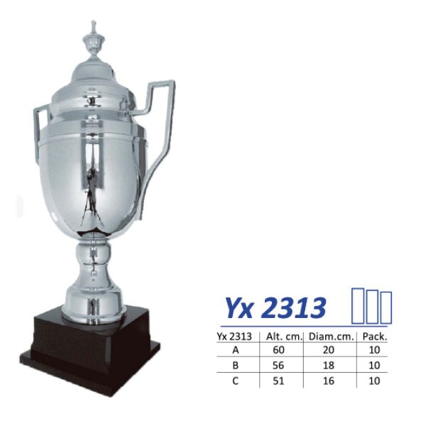 Yx 2313