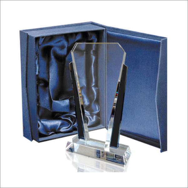 FR 25 Cristal Vertical Bicolor