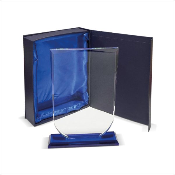 FR 19 Bicolor Azul